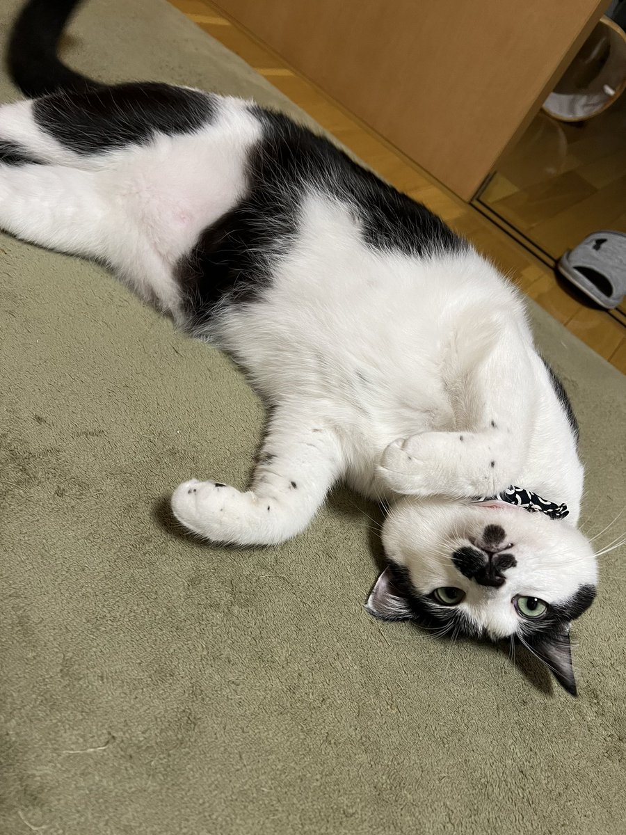 おめでとう🎍🎌🎍(⌒,_ゝ⌒)🎈🏡🎈 ございます🎊🎉🥳🎂🎁🎀🌹🍀🌱