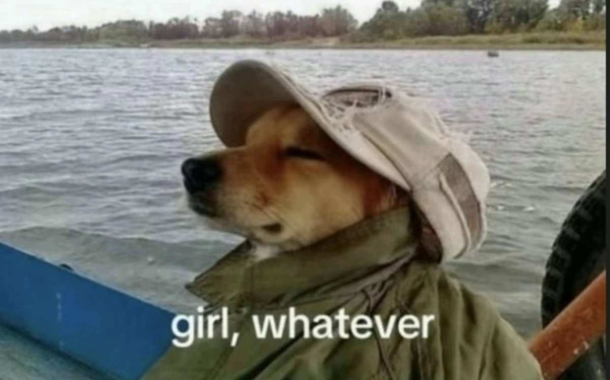 TottenhamBrasil's tweet image. 