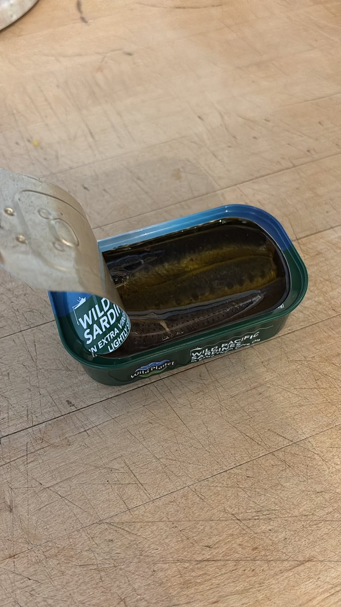 My sardine brother <a href="/PetrovTTV/">Petrov</a> 

Are you Sardine-ing today? 🐟