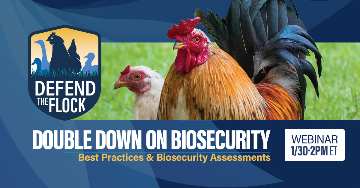 Defend the Flock tweet media