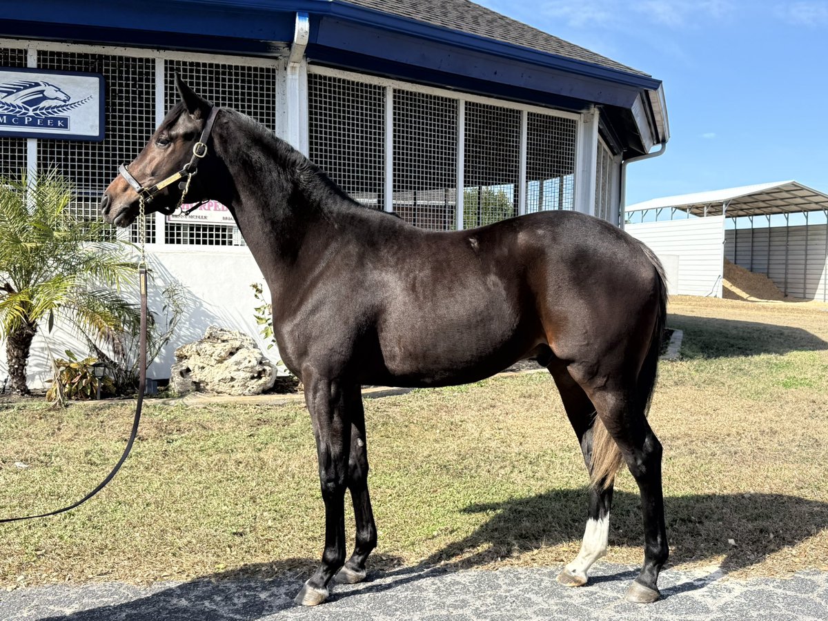 Michael Berk tweet media