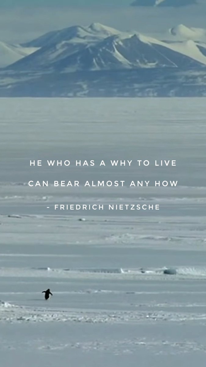 Nihilist penguin heading for the mountains - but why?