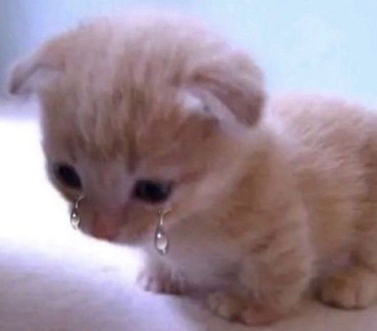 cuando se me están llenando los ojos de lágrimas por una tontería porque no se gestionar bien mis emociones