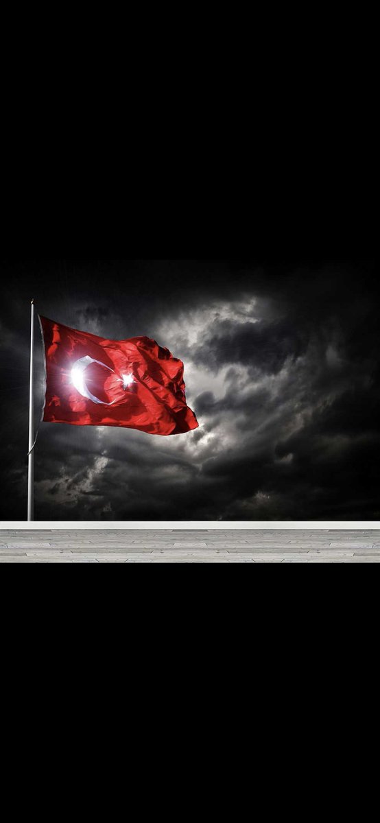 #TürkBayrağı seni sahipsiz sananın boynuna tasma takarız...