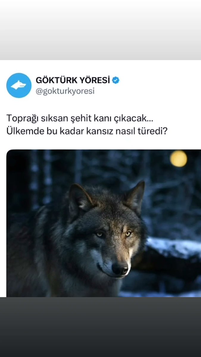 Gülbahar AKYILDIZ (@baharakyildiz45) on Twitter photo 