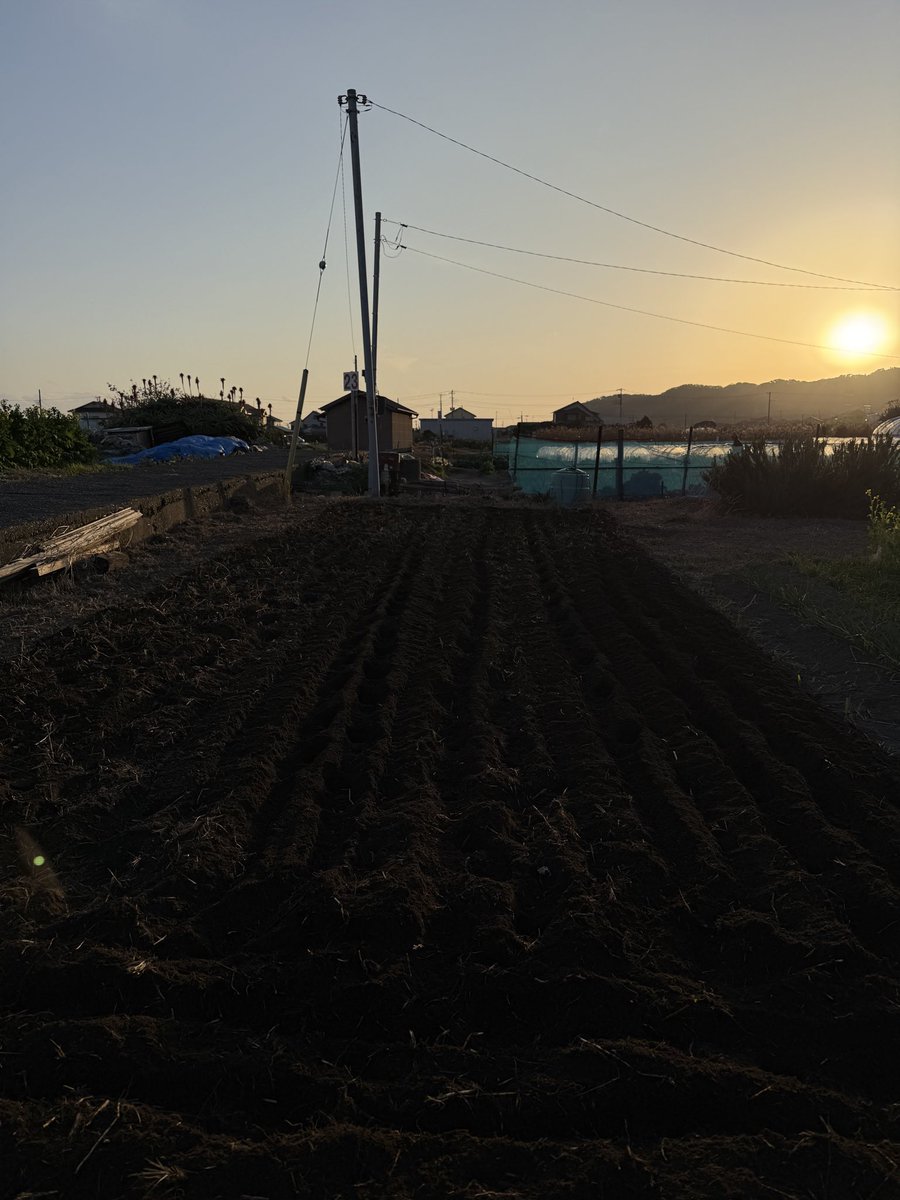 おはようございます　月曜日は千倉の畑に行ってきました

今日からお仕事です今週もよろしくお願いします