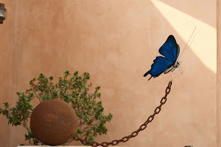 The Write Editing: What Keeps You From Writing? thewriteediting.blogspot.com/2026/01/what-k… #writingtips #writerencouragement <a href="/AndreaMerrell/">Andrea Merrell</a>