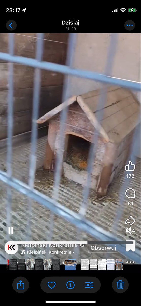 Ka SzaLew 📚 tweet media