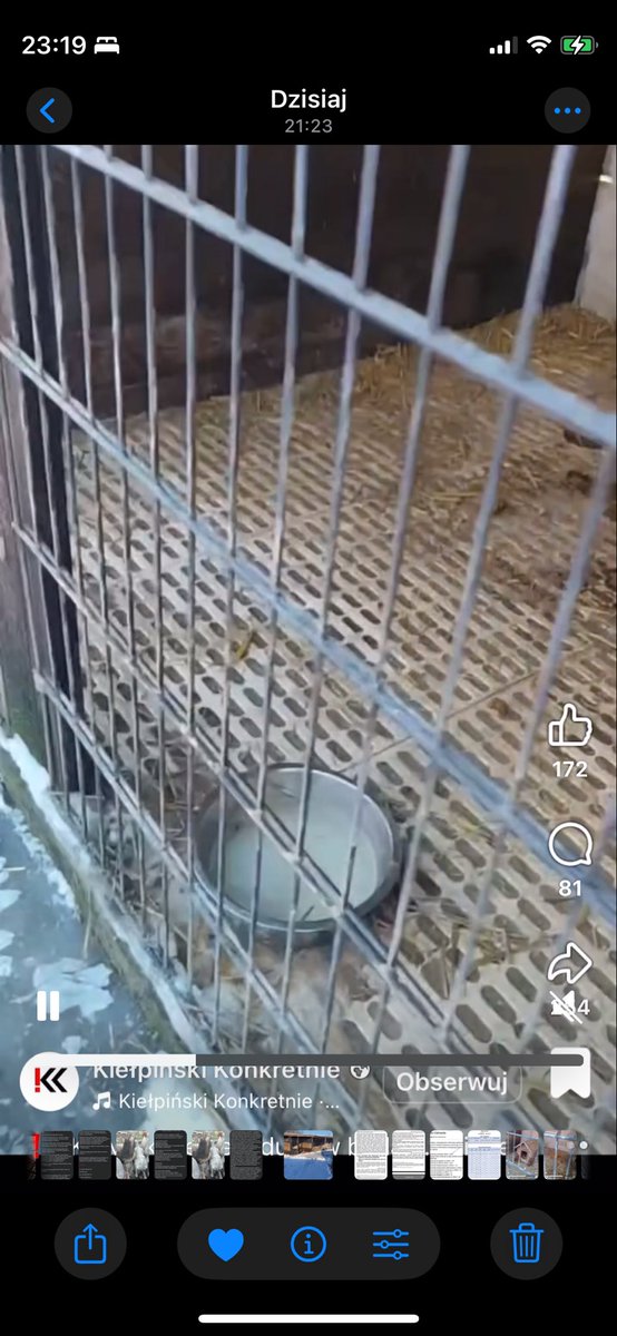 Ka SzaLew 📚 tweet media