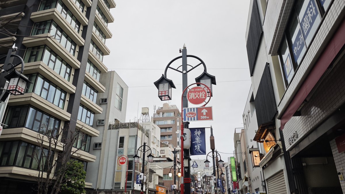 おはようございます。
今日はいつもより早めに。
風がピリリ過ぎで寒い⛄️