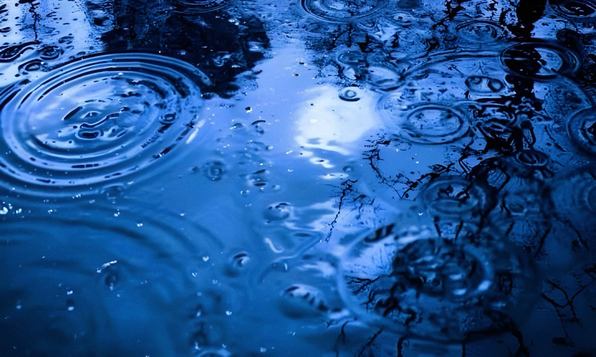 gardenofcolours's tweet image. 