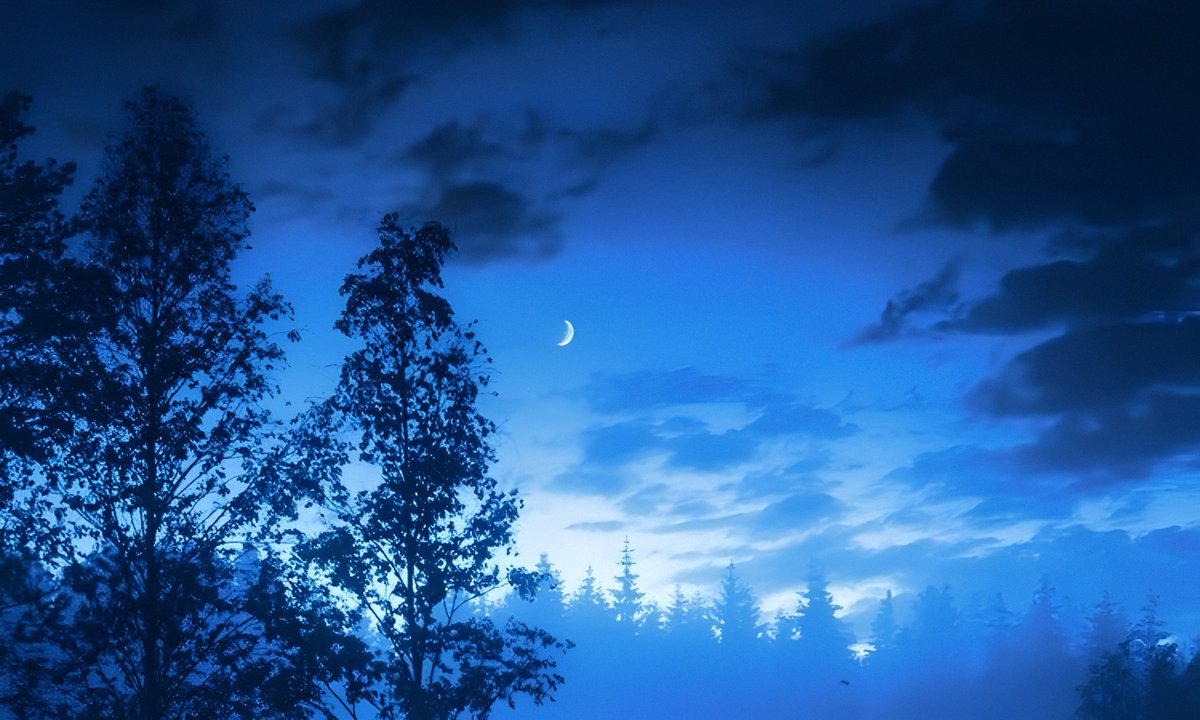 gardenofcolours's tweet image. 