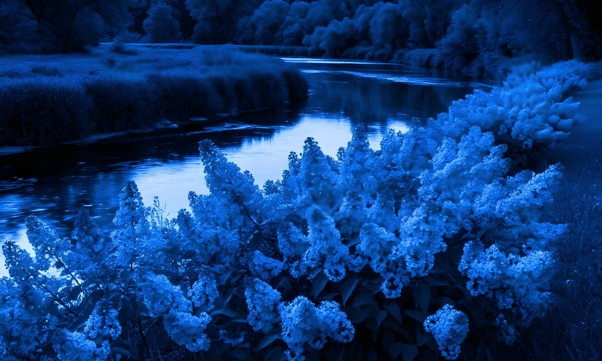 gardenofcolours's tweet image. 