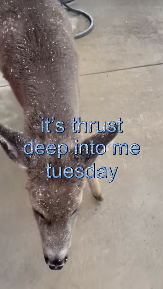 <a href="/MK_o30/">MK!!</a>