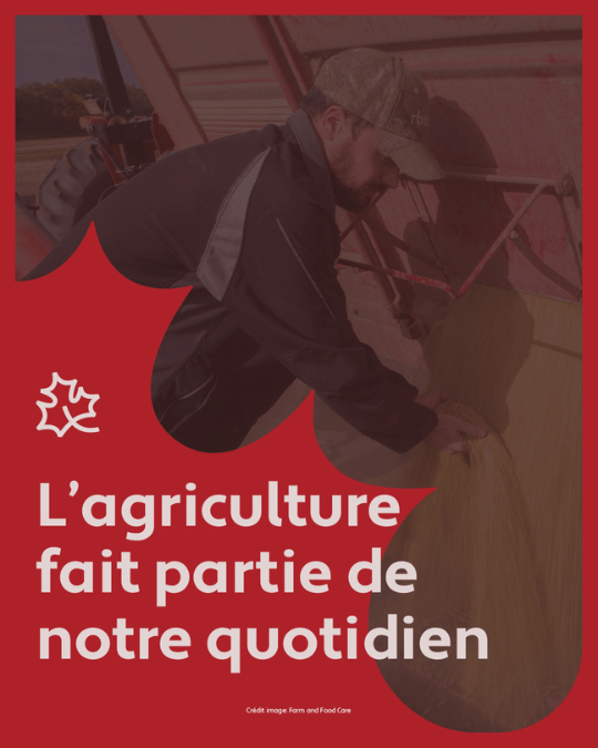 cdnfoodsystem's tweet photo. L’agriculture touche chaque Canadien, chaque jour. Qu’il s’agisse de créer des emplois ou de fournir des aliments de qualité et nutritifs, c’est quelque chose dont nous pouvons tous être fiers !​
​
Le 10 février, à l’occasion du Jour de l’agriculture canadienne, célébrons son rôle clé dans notre système alimentaire!​
���
#NotreAlimentationNotreAvenir #JourAgCan