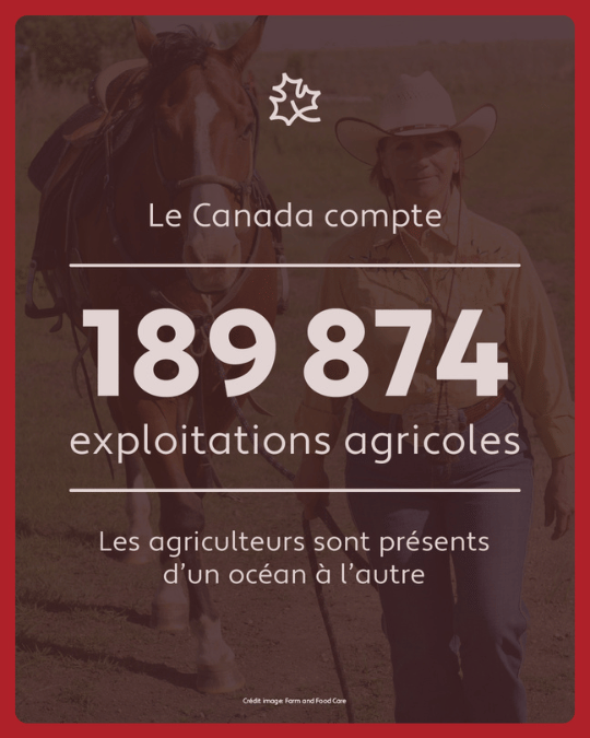 cdnfoodsystem's tweet photo. L’agriculture touche chaque Canadien, chaque jour. Qu’il s’agisse de créer des emplois ou de fournir des aliments de qualité et nutritifs, c’est quelque chose dont nous pouvons tous être fiers !​
​
Le 10 février, à l’occasion du Jour de l’agriculture canadienne, célébrons son rôle clé dans notre système alimentaire!​
���
#NotreAlimentationNotreAvenir #JourAgCan