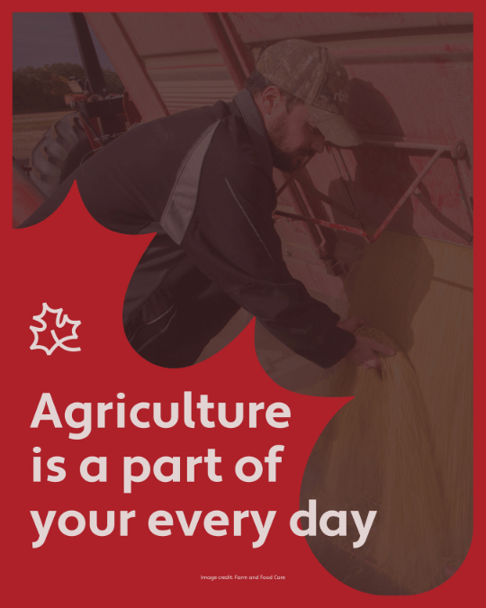 cdnfoodsystem's tweet photo. Agriculture touches every Canadian, every day. From creating jobs to providing quality, nutritious food, it’s something we can all be proud of!​
​
Join us in celebrating the vital role agriculture plays in our food system this Canada’s Ag Day on February 10th!​
​
#CdnAgDay #OurFoodOurFuture