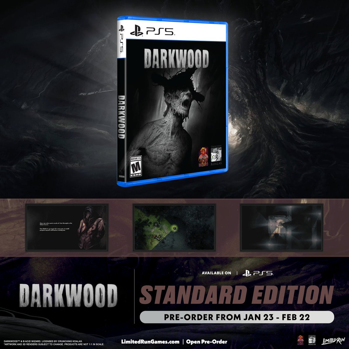 Limited Run Games tweet media