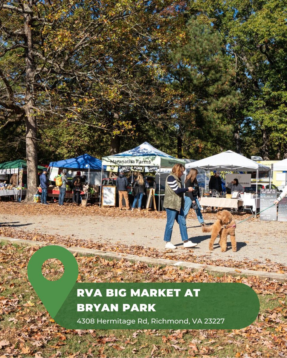 QuarterMillVA's tweet photo. Near RVA Big Market at Bryan Park and near to your heart. Head over, meet up, and enjoy the ease that makes Quarter Mill Apartments feel like home. 🌟💛 https://t.co/D09gLshzfp