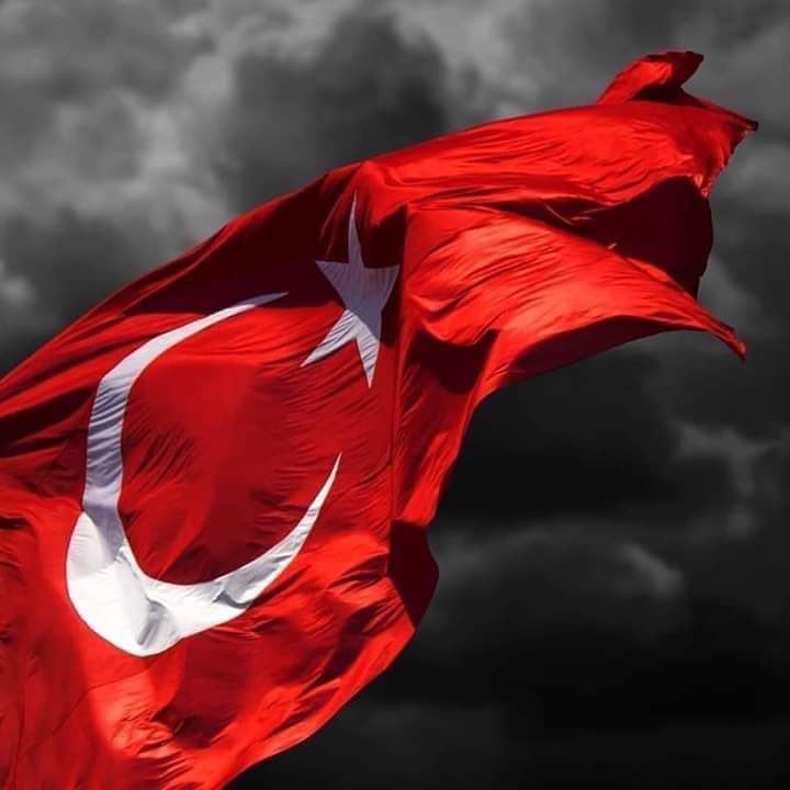 Bedri Sinan GÜL tweet media