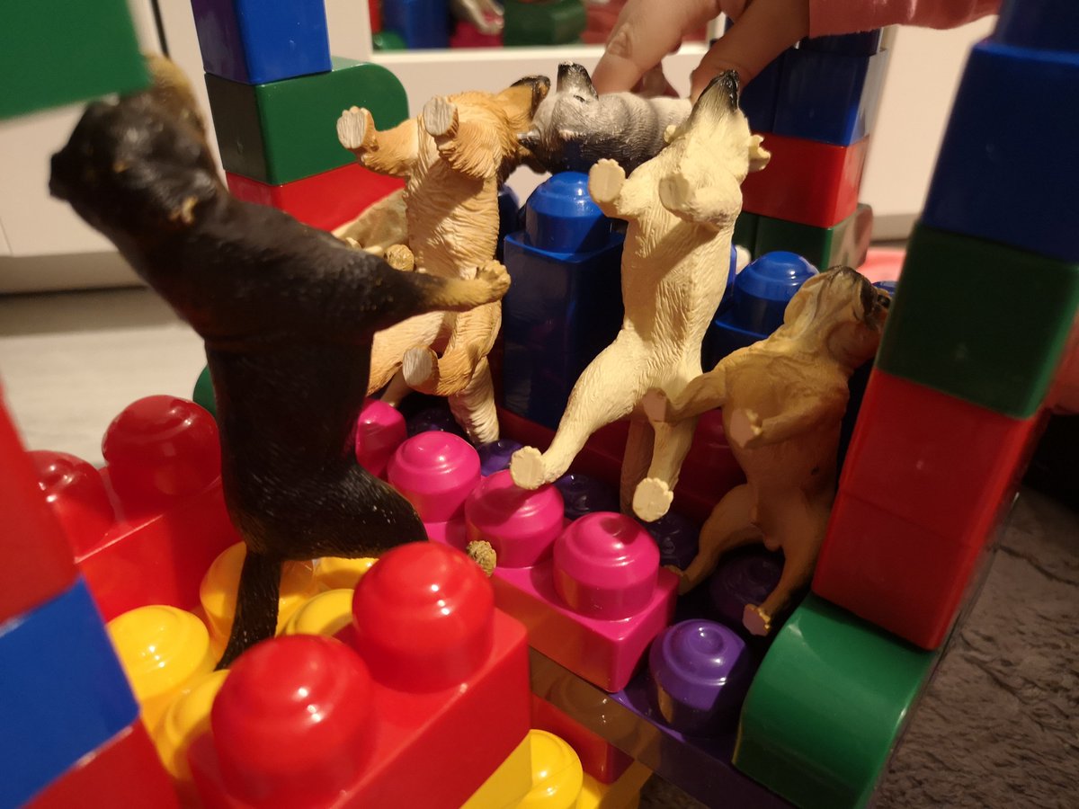 Dr. Timur B. Davletov :𐰴𐰴𐱂:𐱅𐰈𐰼𐰰 tweet media