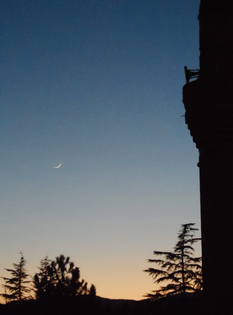 🌙