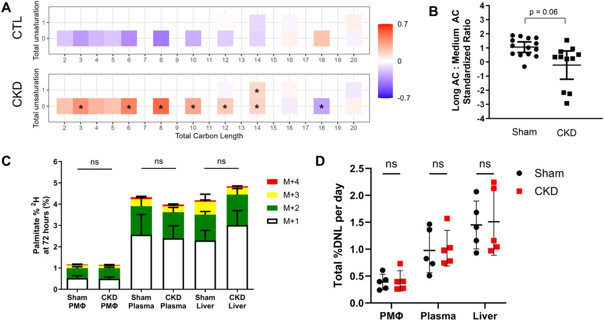 jlipidres's tweet photo. New in JLR press| Chronic Kidney Disease Induces Distinct Alterations of Macrophage Lipid Metabolism in a Mouse Model of Atherosclerosis.
Learn more:
https://t.co/YFLElTh8Cr
 #jlipidres https://t.co/RzDFJrpg9H