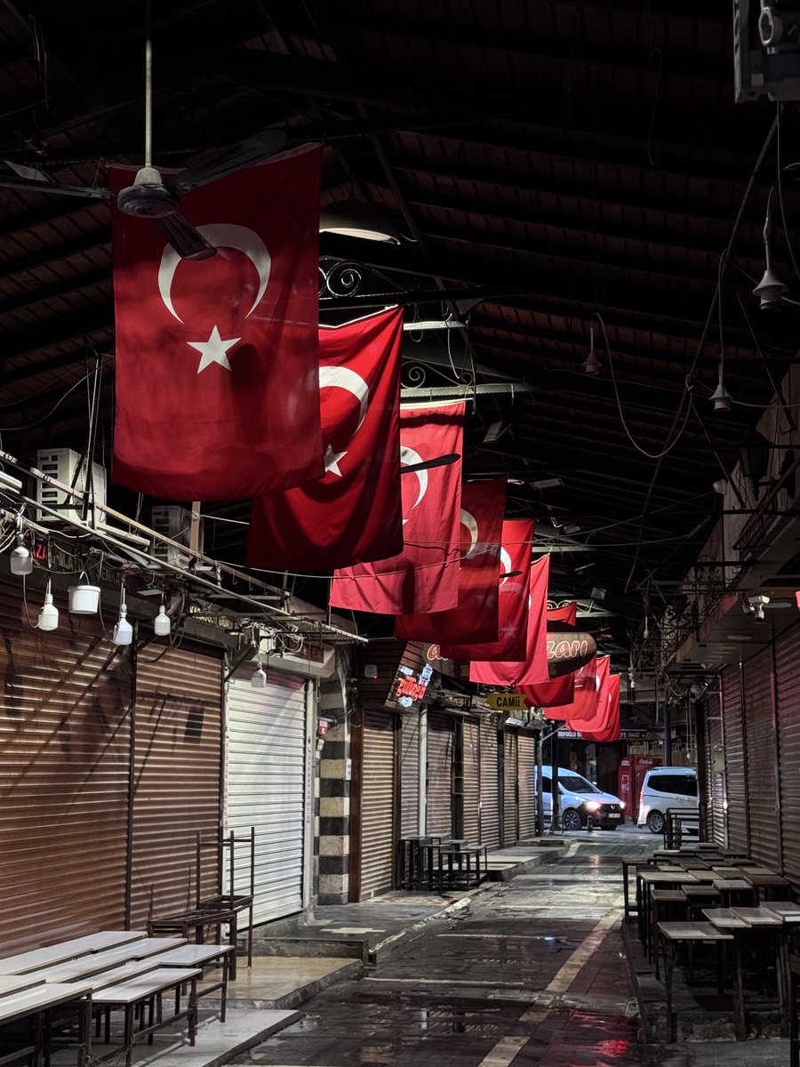 Tarihim, şerefim, şiirim, her şeyim:
Yer yüzünde yer beğen!
Nereye dikilmek istersen,
Söyle, seni oraya dikeyim!