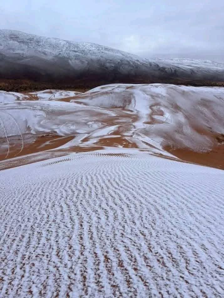 RiadChaabani's tweet photo. Algerian Sahara Desert 🇩🇿 in Aïn Séfra, Naâma, is covered in snow. 

The golden dunes turn white, creating a striking contrast against the desert landscape and offering a rare, breathtaking view. https://t.co/lfUcGN3GQe