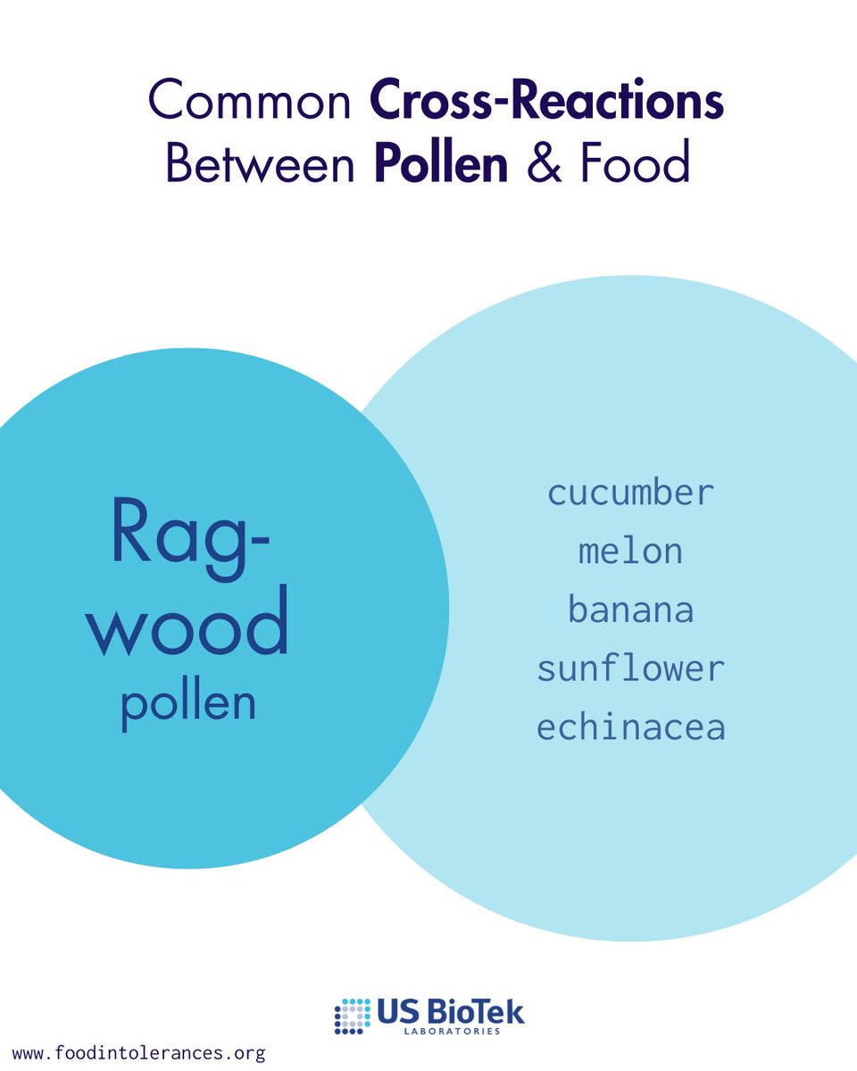 🌿 Seasonal allergies don’t always stop at pollen.
For many people, they show up on the plate too.

🧬 In adolescents and adults, up to 60% of food-related allergic reactions are driven by cross-reactivity between pollen and food.
