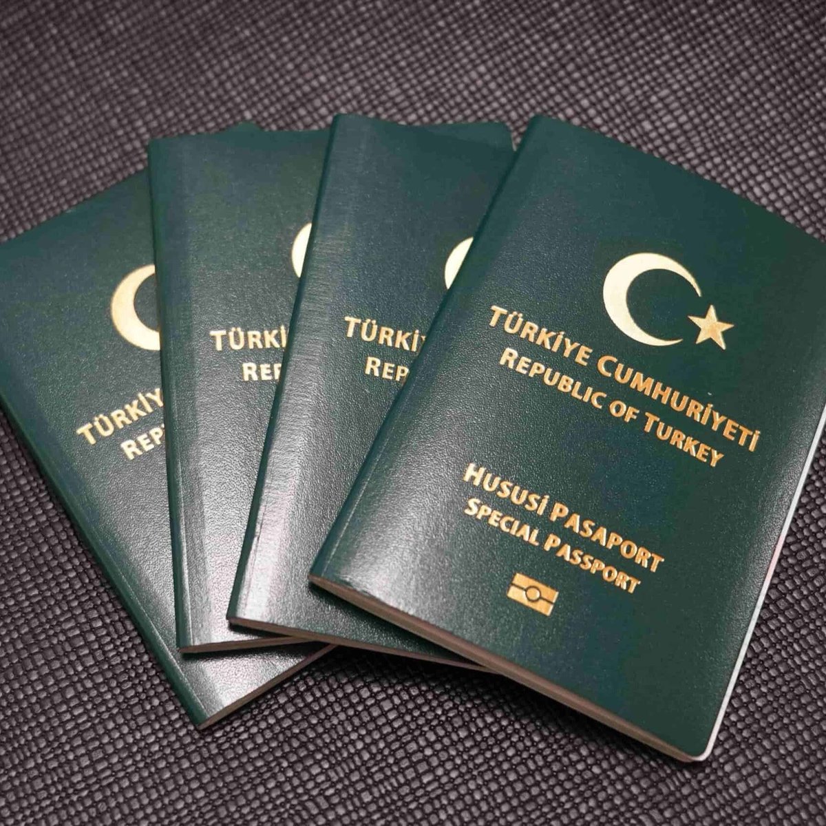 Ülkemizin ekonomisine, bilimine ve kültürüne katkı sağlayanların yeşil pasaport alması gerekiyor.

Kültürel mirasımızı yurtdışına taşıyabilecek, evrensel alanda bizi temsil edecek ve bize gurur verecek sanatçılara da yeşil pasaport verilmelidir.