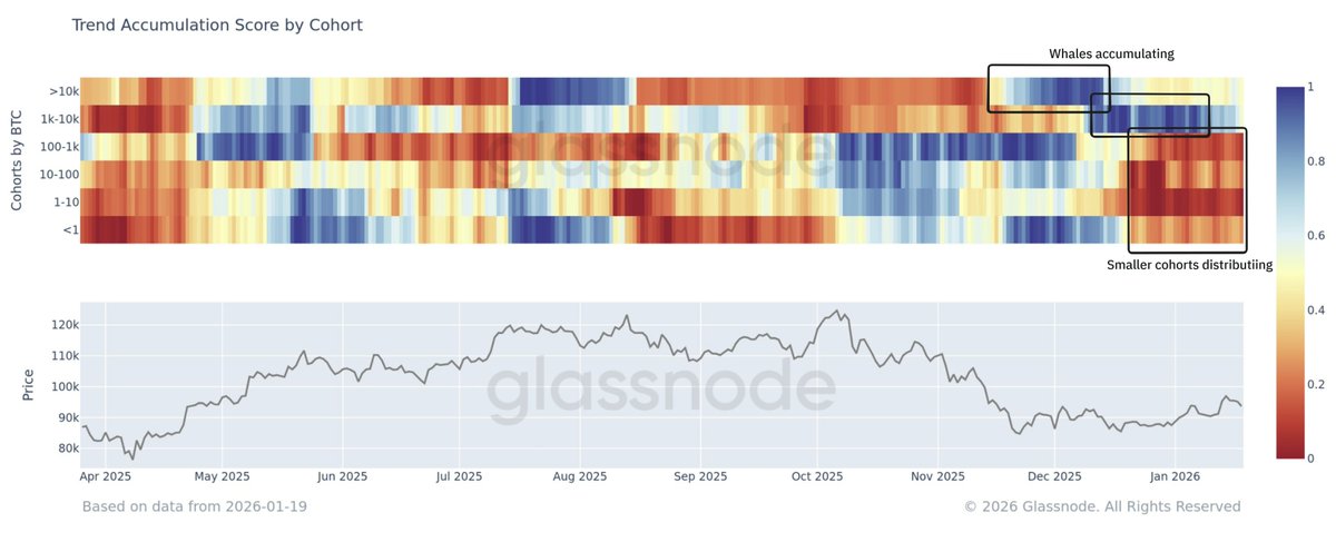 During the November–December bottoming phase, supply accumulation was primarily driven by larger entities, while smaller cohorts were distributing.

This divergence appears to be driven in part by exchange-related wallet reshuffling, and also by large holders buying the dip.
📉