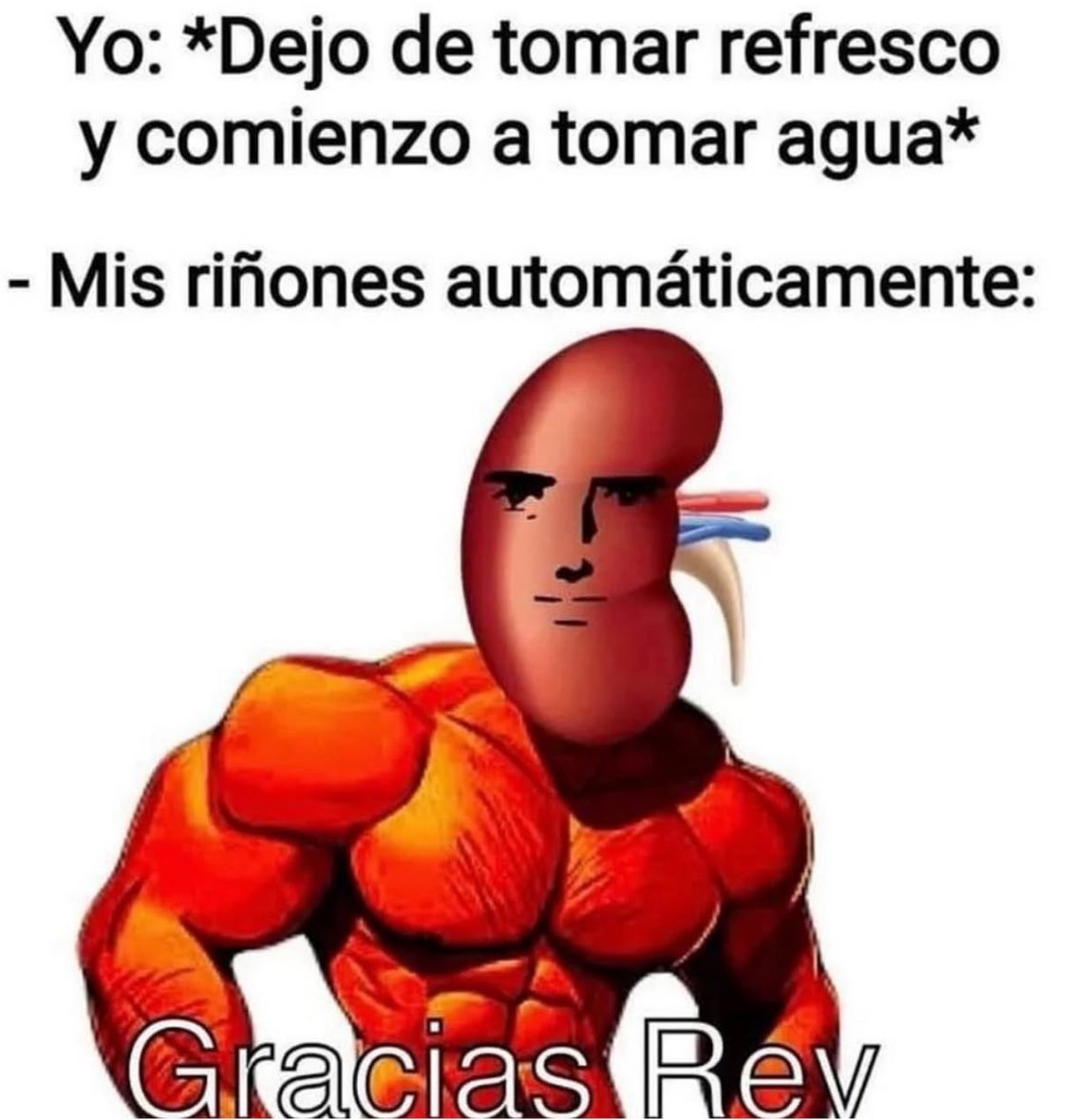 Memakker's tweet image. 