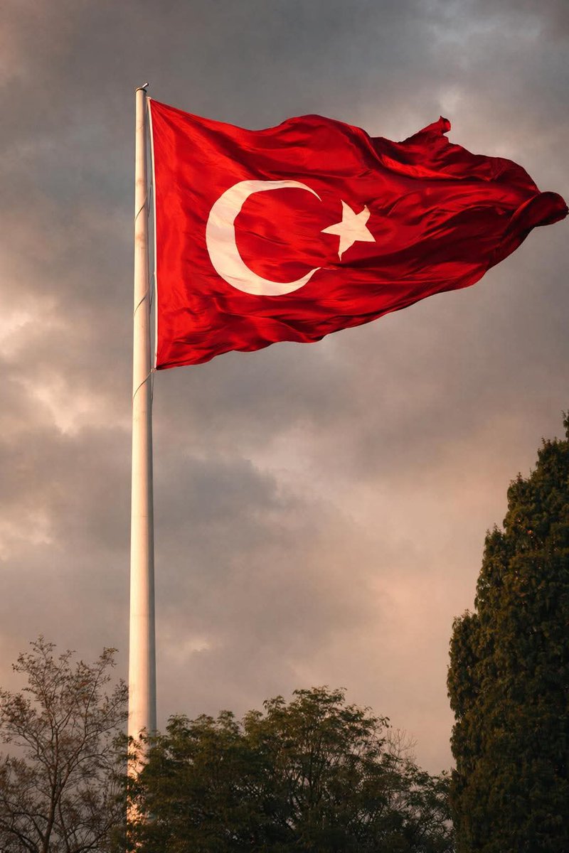 Nusaybin–Kamışlı sınır hattında Suriye tarafındaki terör örgütü YPG yandaşları tarafından şanlı bayrağımıza yapılan alçakça saldırıyı lanetliyor ve şiddetle kınıyorum.