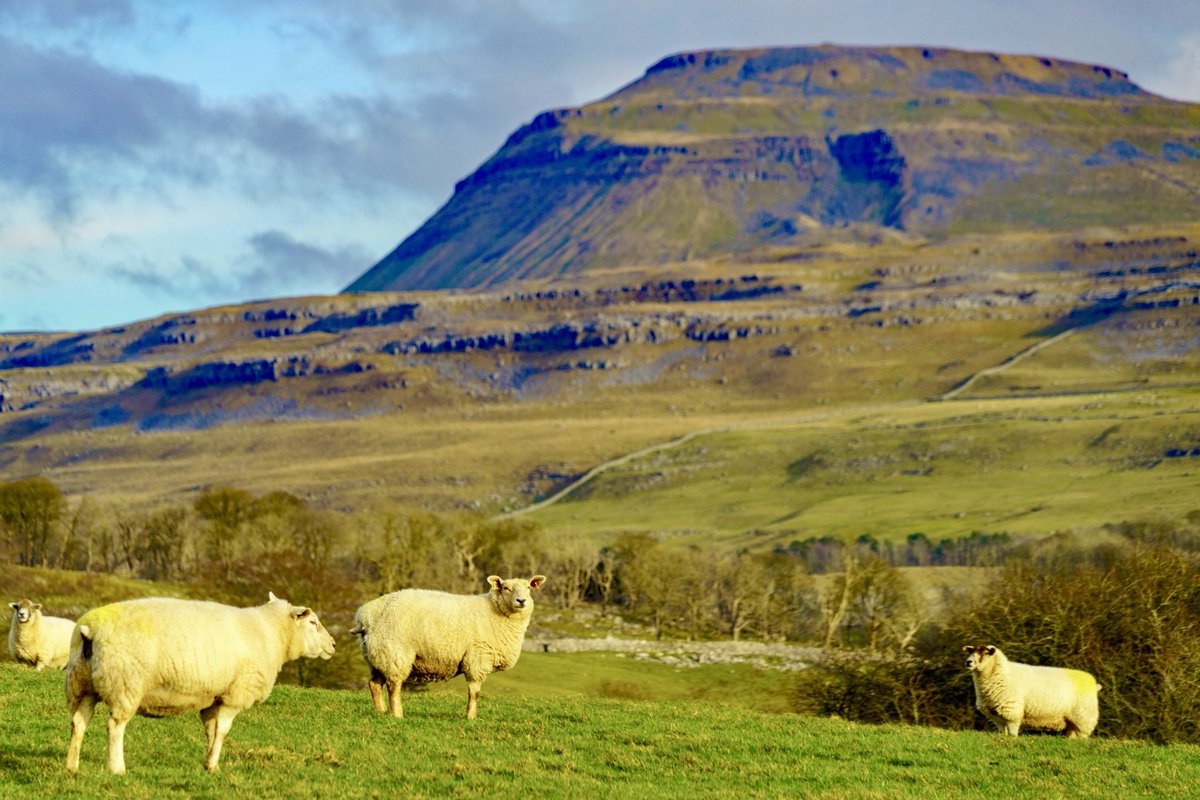 Ingleborough and its guardians shining nicely in the afternoon sun.