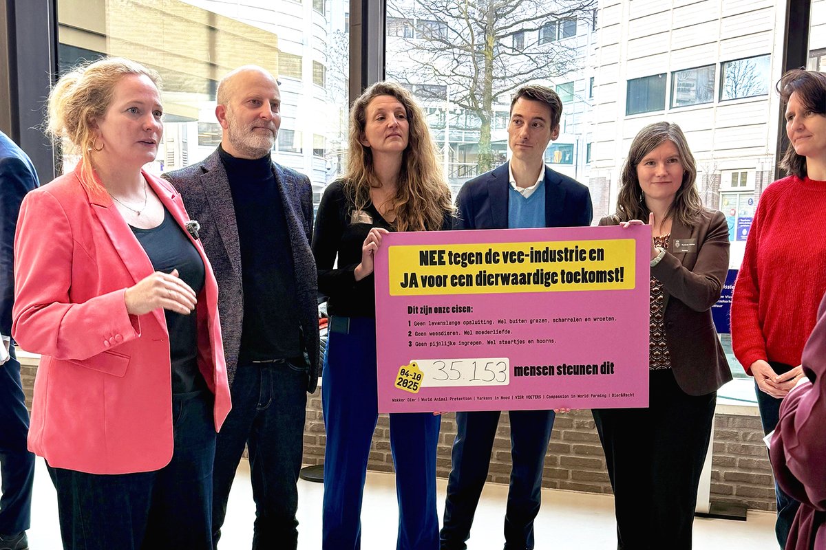 Dierencoalitie tweet media