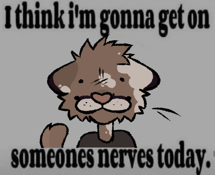 Aiden 🐊 tweet media