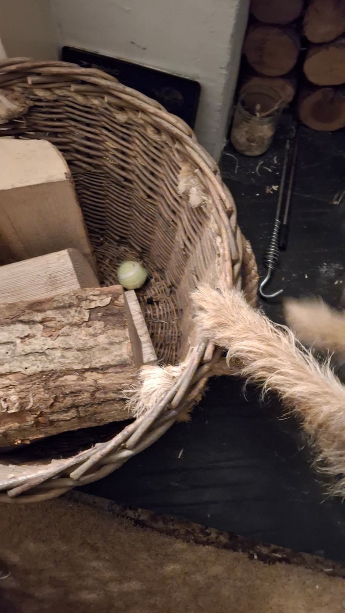 Molly Pickle CBE tweet media