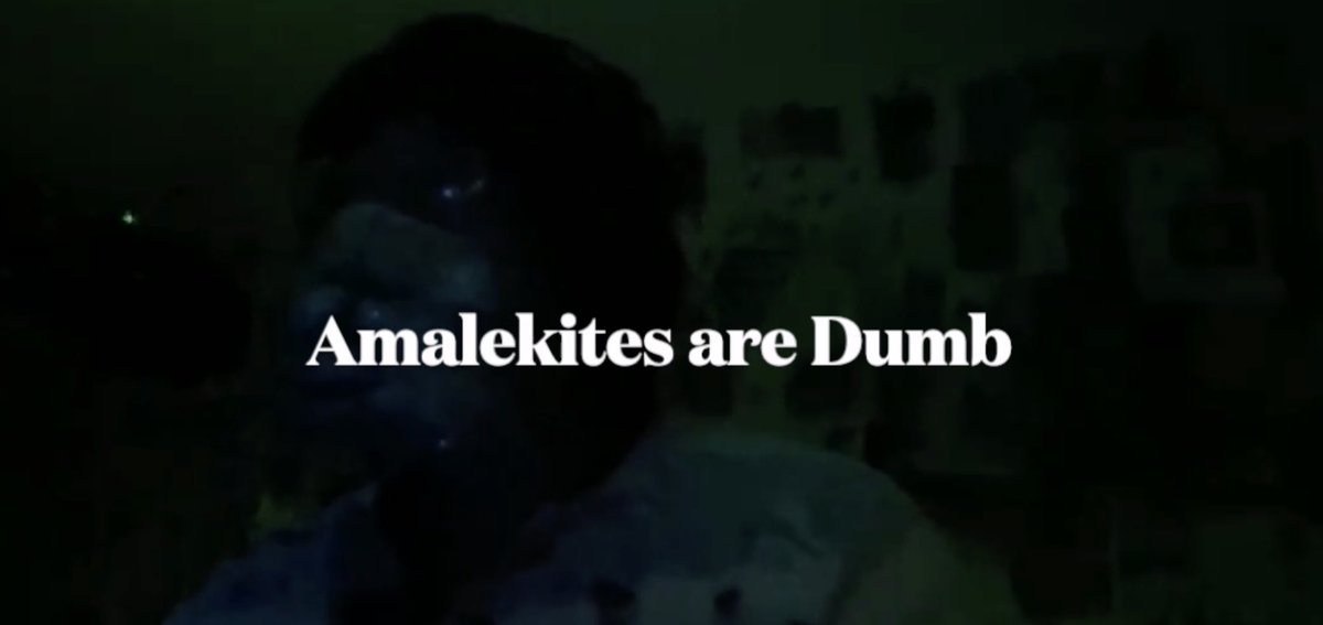 TheIsraelShow's tweet image. #dumb