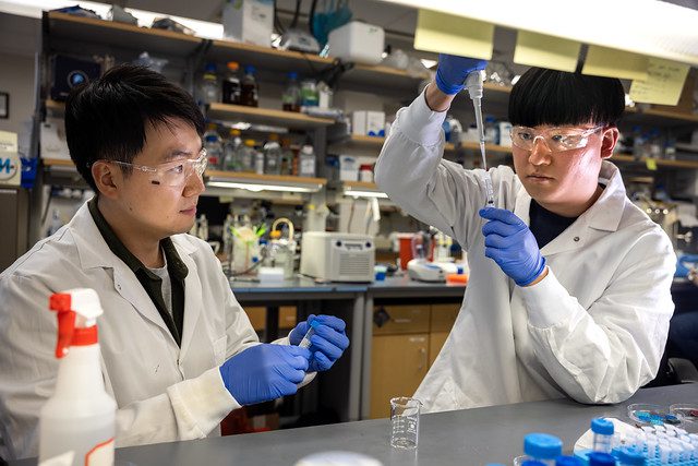umichme's tweet photo. Hydrogels, βtoughenedβ by researchers at the University of Michigan, hold the promise of providing tools that can replace and supplement cartilage, skin, collagen, or other materials in the body.
ππ Learn more: https://t.co/pvSoK6eW5q
#UmichEngineering #MakeTheWorldWorkBetter https://t.co/qFVRDr3ccD
