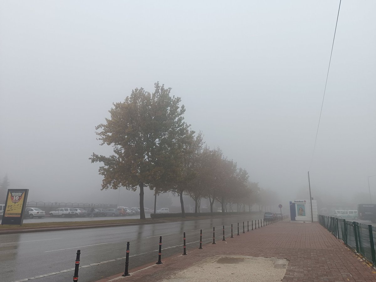 Kemal Tahir'in 'yaz günü herkes gelir, marifet böyle günlerde gelmek' dediği günler bu günler mi?