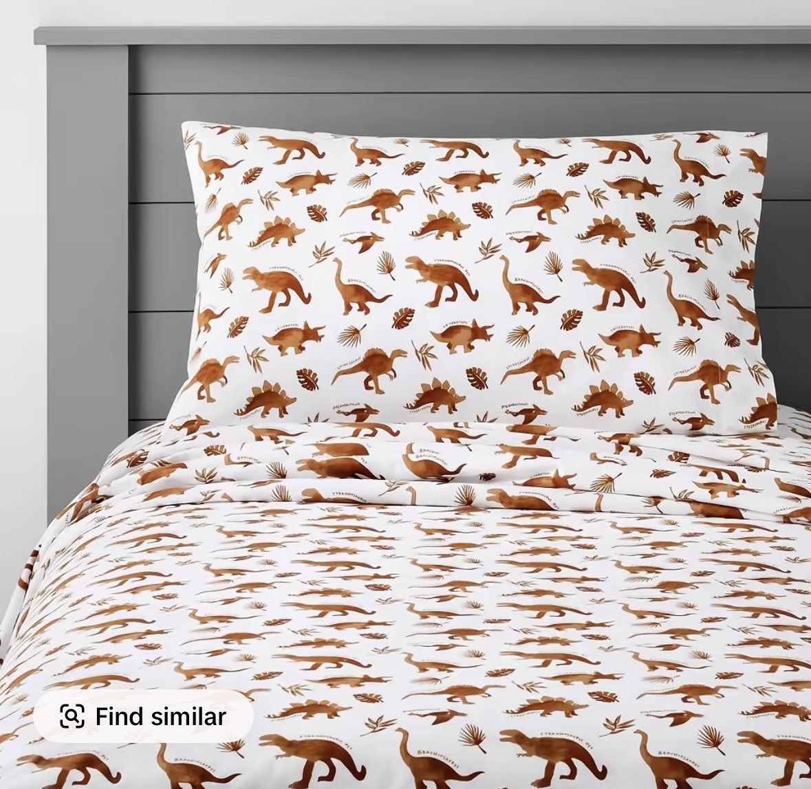 FUN FACT: 

It’s totally cool to have Dino sheets at any age