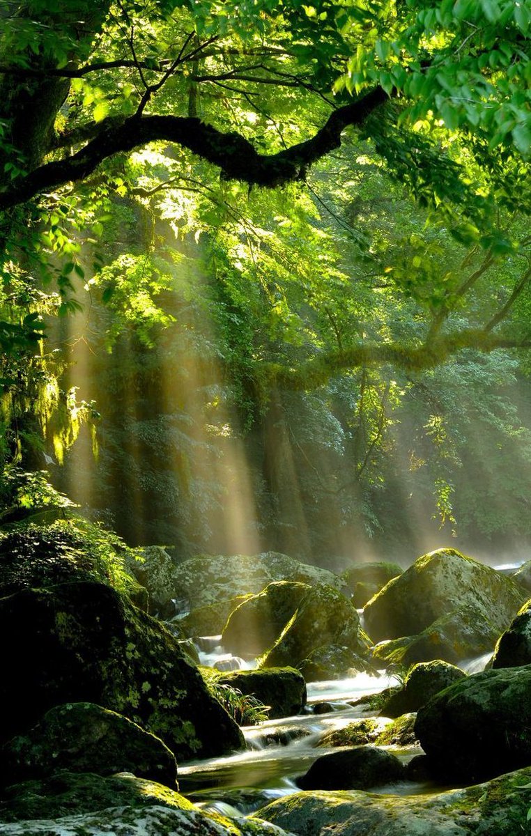 LexusvanD's tweet image. 朝の電車で座席に座れてラッキーだった、45分の通勤時間をリラックスして過ごせた 🐜