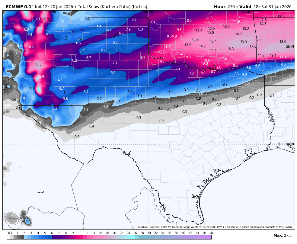 The American Storm tweet media