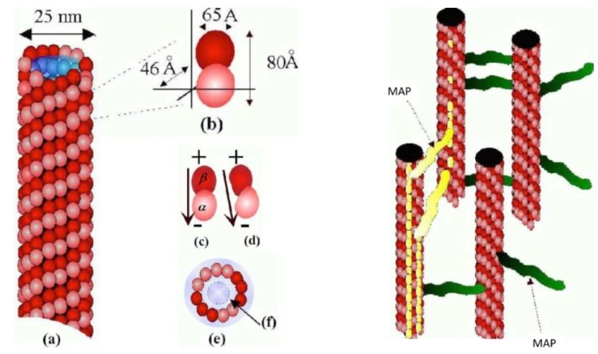 The EPJ journals tweet media