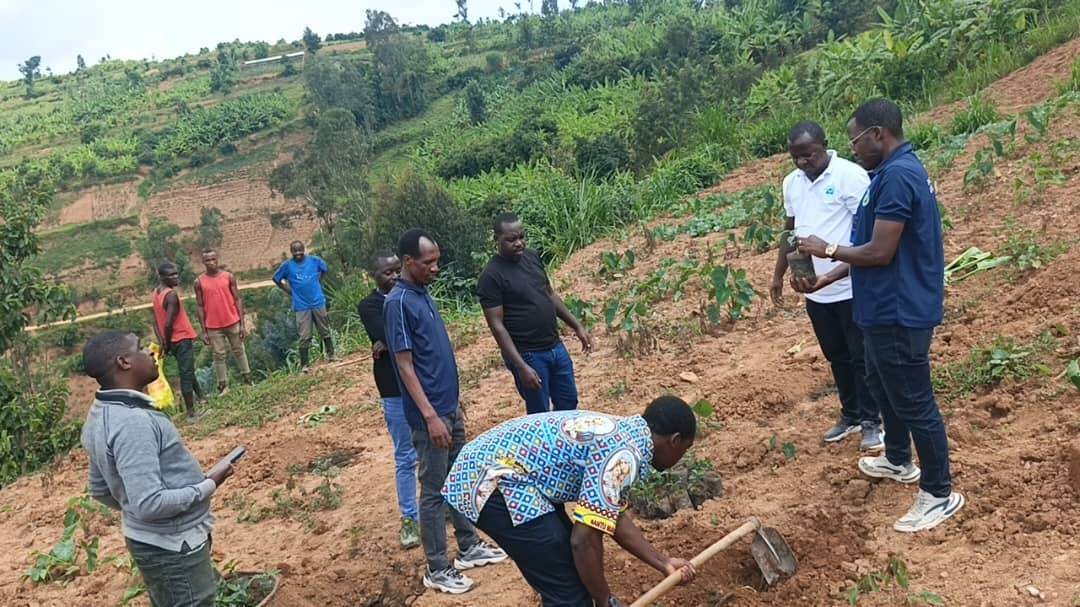 Nyamagabe's tweet photo. Umuyobozi w'Akarere Wungirije Ushinzwe Iterambere ry'Ubukungu, @ThadeeHabimana yayoboye ubukangurambaga bwo guhinga kawa no kwita ku isuku y'umuryango mu Murenge wa #Musange bwateguwe ku bufatanye bw'Akarere na TRAPRO COFFEE WASHING STATION LTD. 1/3 https://t.co/tPZT1BGaJ7