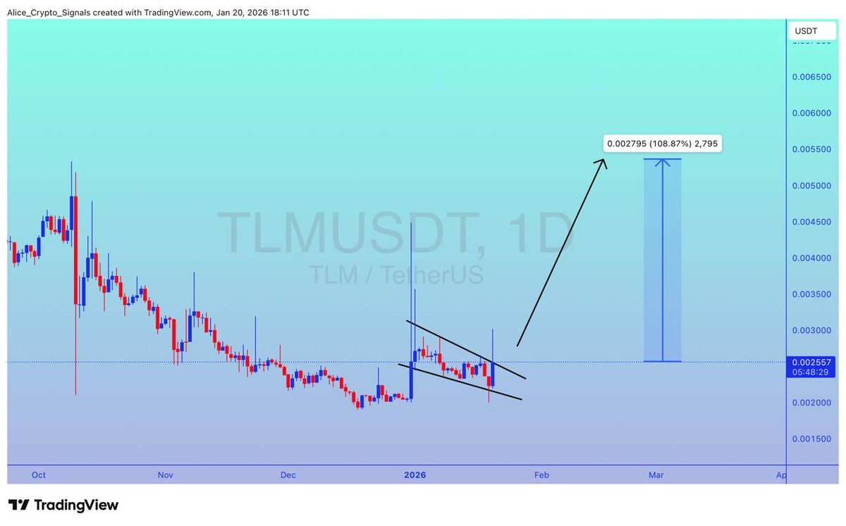 tlmusdt