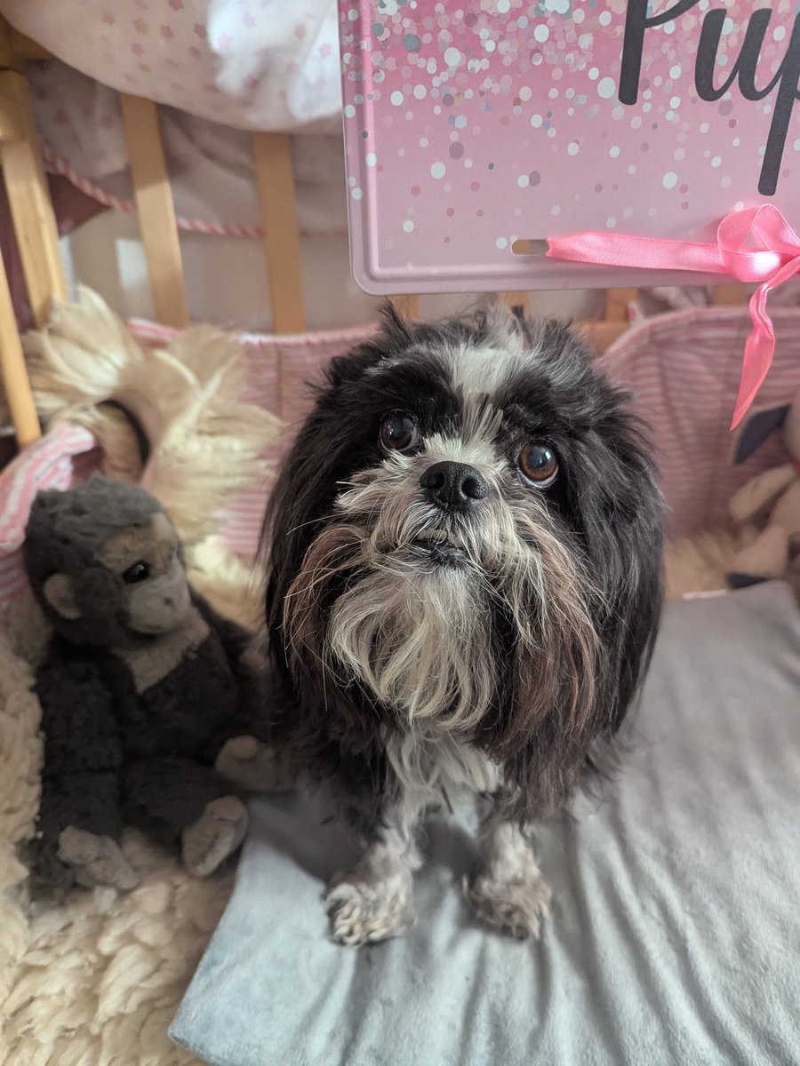 Was fällt Euch an mir auf, liebe Freunde?!