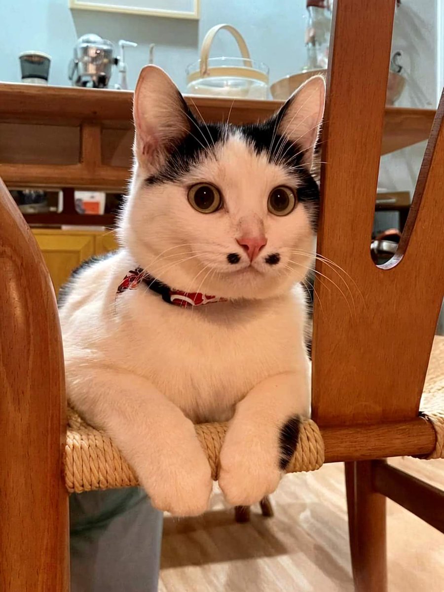 As pintinhas 🤏🥰