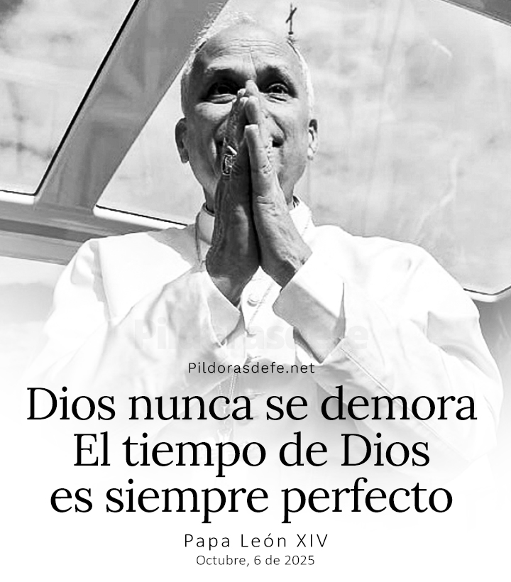 Pildorasdefe's tweet photo. El tiempo de Dios es siempre perfecto.

- Papa León XIV. https://t.co/cZU6eens7z